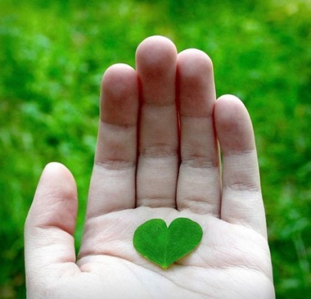 Giải pháp của WOW